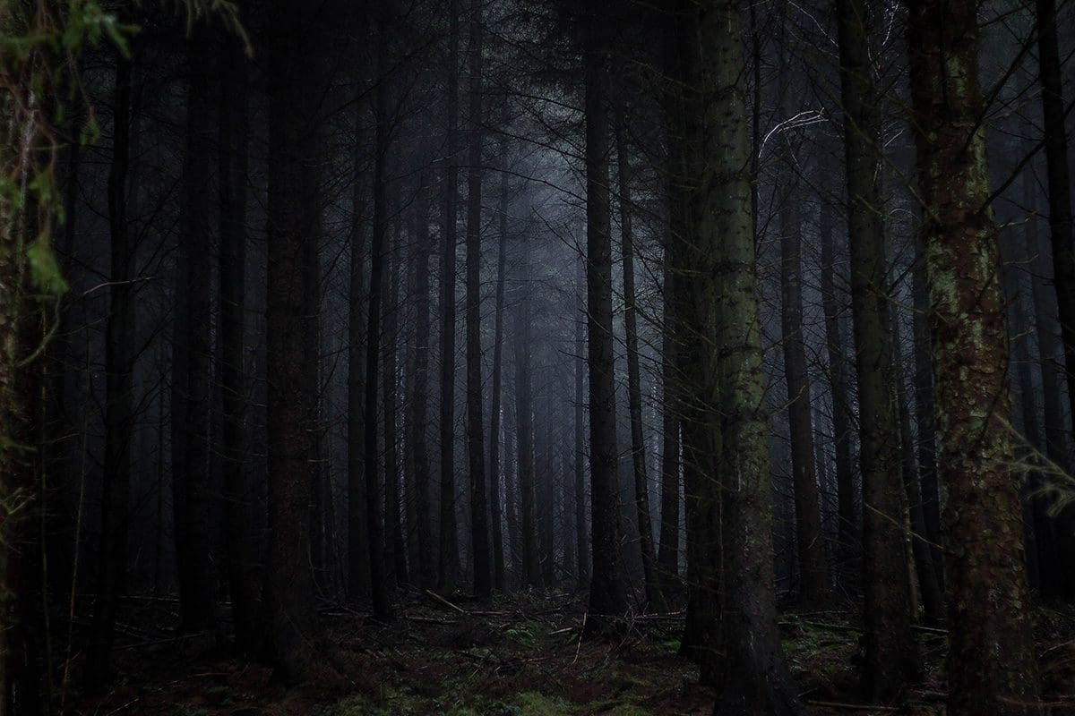 image.title Chilling Tales from the Black Forest of Germany - Mysterious