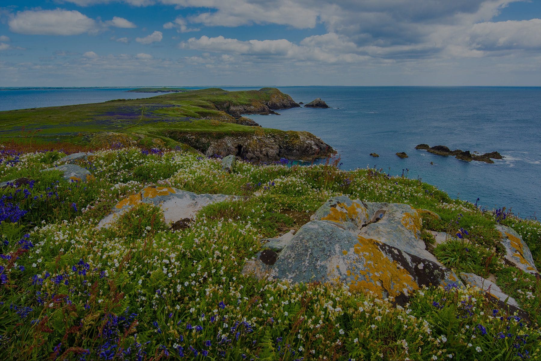 Great Saltee Island, County Wexford, Ireland