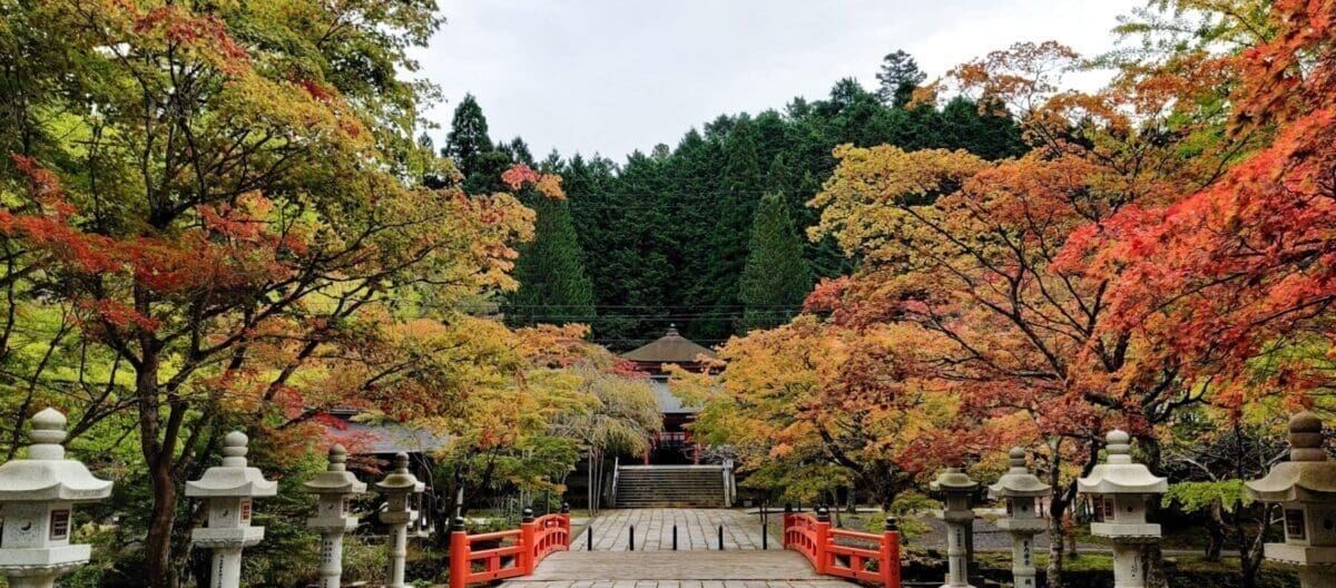 Walkway at Koyasan