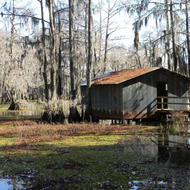 Mysteries-of-the-Bayou-Louisiana-Cajun-Country