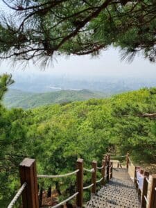 Path leading into the Korean Forest