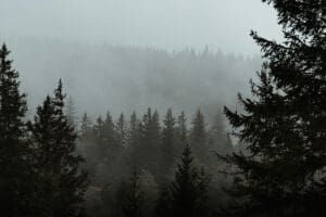 Haunted and abandoned dark tourism destination of abandoned places, The Black Forest