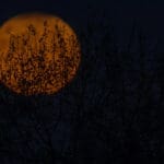 Mystical Eerie Night Shot Of The Moon