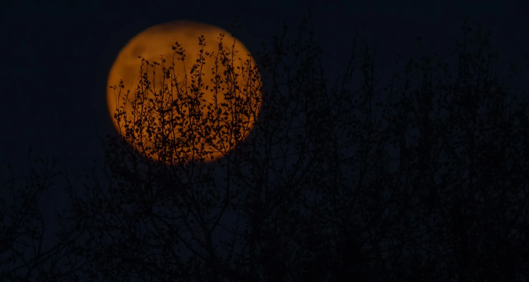 Mystical Eerie Night Shot Of The Moon