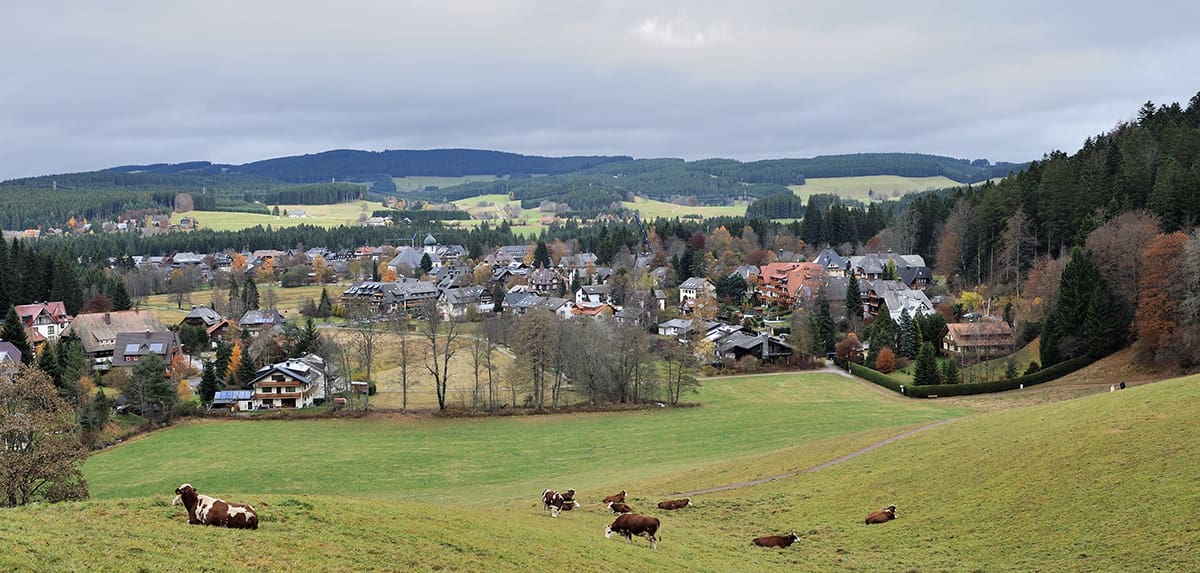 village-of Hinterzarten