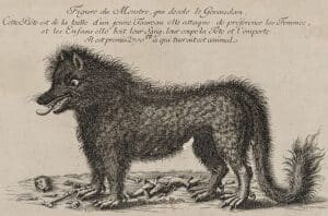 drawing of the beast of Gevaudan