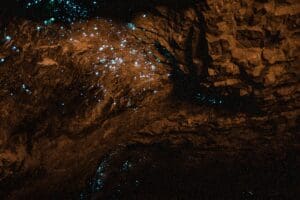 unexplored Glow Worm Caves New Zealand