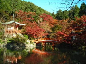 A hushed sacredness as autumn falls over Kyoto