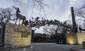 Spooky, haunted Lincoln Park Zoo