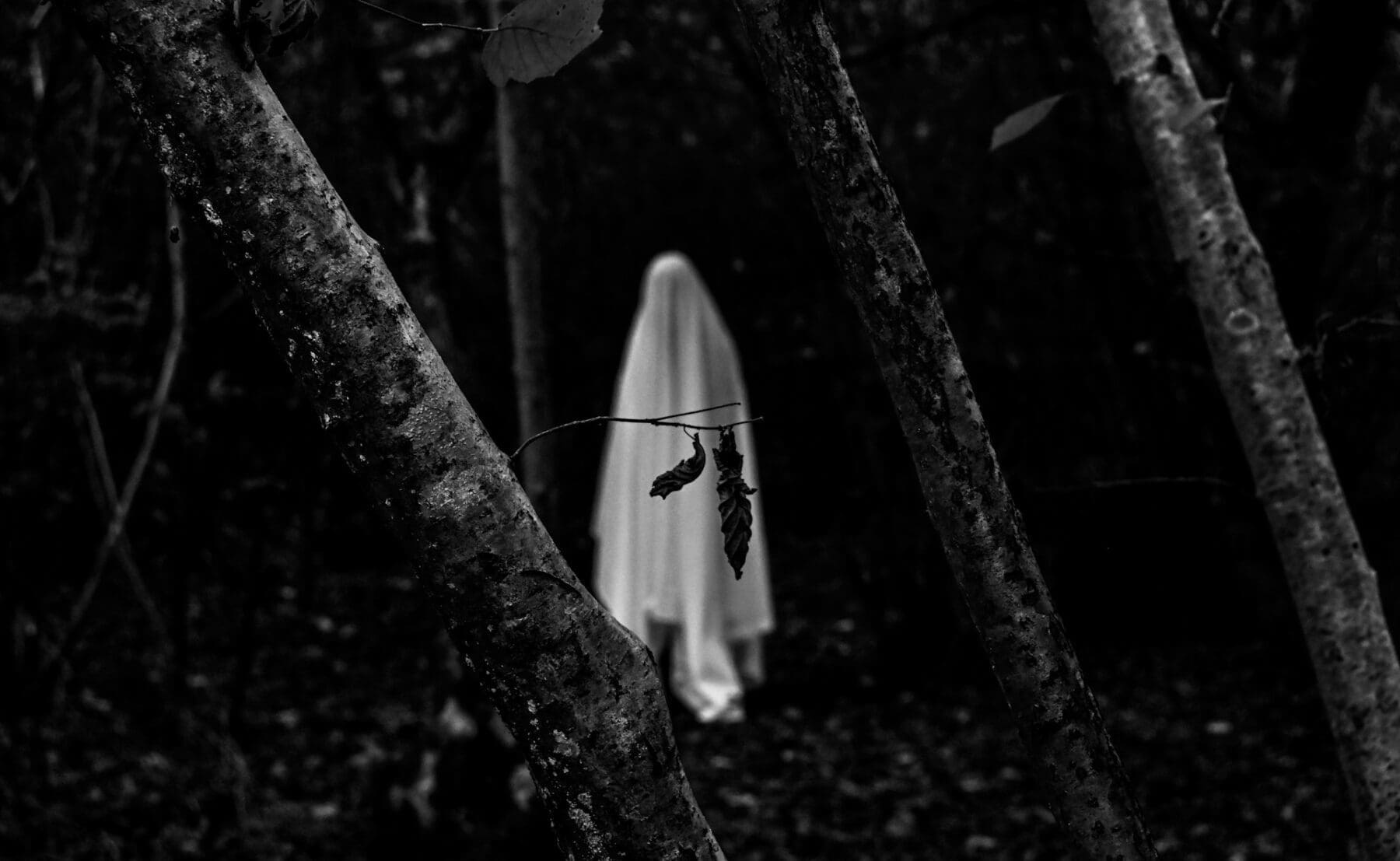 Paranormal activity can be found in sites of supernatural tourism