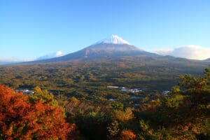 Mount Fuji rises above the Aokigahara Forest, Yamanashi Prefecture, Japan. A transformational travel destination on any supernatural journey.