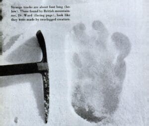 The original print photographed by Eric Shipton, 1951. The World's Most Mysterious Footprints. Popular Science. December, 1952.