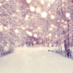 Dreaming of a White Christmas, fairy tale, adventure tour