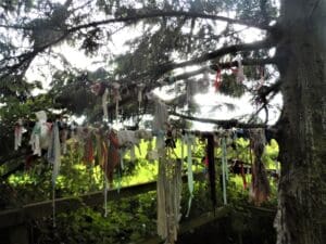 The Clootie Tree near St. Brigid's Well, Kildare. Via Wikipedia, CC BY-SA 4.0. Legends and Lore