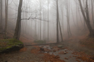 As winter approaches, the veil between the worlds of the living and dead thins. Samhain, Halloween, Celtic