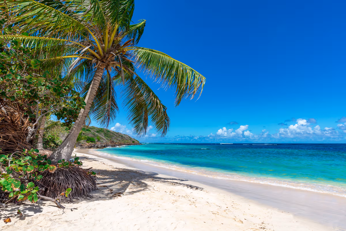 220570 SCN2 Nassau iStock1006274284 ZF86EC